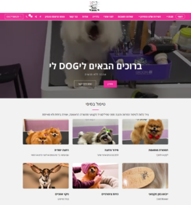 לי DOG לי